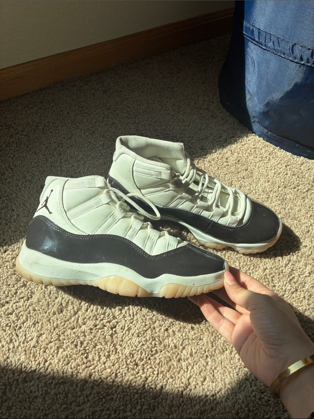 Jordan Neapolitan 11’s